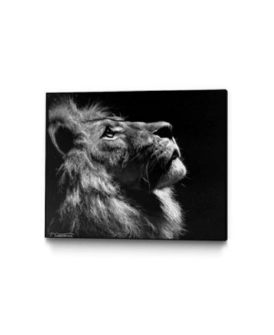Eyes On Walls Dino Tomic Inverted Lion Art Block Framed Canvas 30" X 24" In Multi