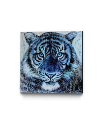 Eyes On Walls Dino Tomic Blue Tiger Splatter Museum Mounted Canvas 18" X 18" In Multi