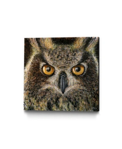 Eyes On Walls Dino Tomic Owl Splatter Museum Mounted Canvas 18" X 18" In Multi