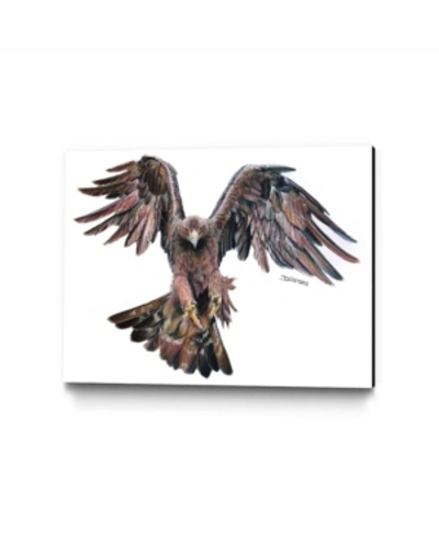 Eyes On Walls Dino Tomic Golden Eagle Museum Mounted Canvas 32" X 24" In Multi