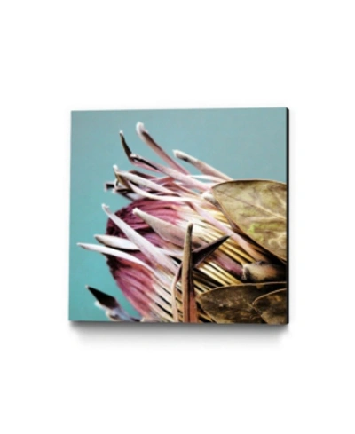 Eyes On Walls Ivan Ballack Protea Cynaroides Museum Mounted Canvas 18" X 18" In Multi