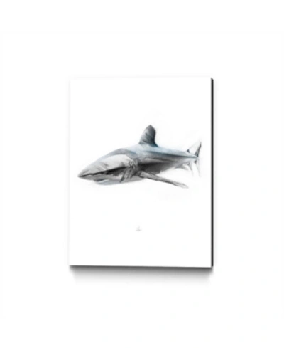 Eyes On Walls Alexis Marcou Shark 1 Museum Mounted Canvas 33" X 44" In Multi
