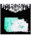 EMPIRE ART DIRECT SNOWBALL FRAMELESS FREE FLOATING TEMPERED GLASS PANEL GRAPHIC CAT WALL ART, 20" X 20" X 0.2"