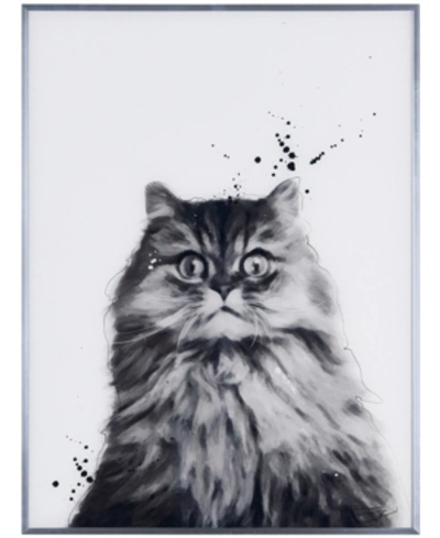 Empire Art Direct Nebelung Pet Paintings On Reverse Printed Glass Encased With A Gunmetal Anodized Frame Wall Art, 24" In Black And White