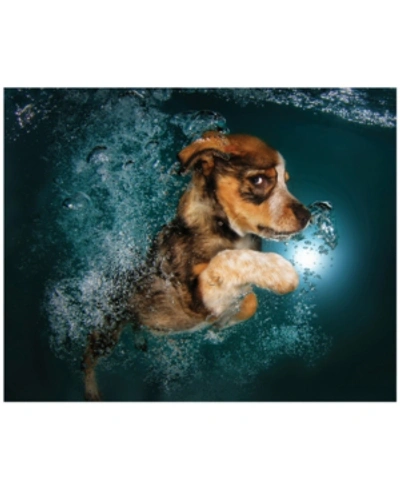 Empire Art Direct Foxhound Pup Frameless Free Floating Tempered Glass Panel Graphic Underwater Dog Wall Art, 16" X 20" In Green