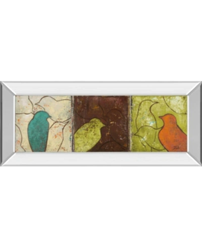 Classy Art Lovely Birds Il By Patricia Pinto Mirror Framed Print Wall Art In Brown