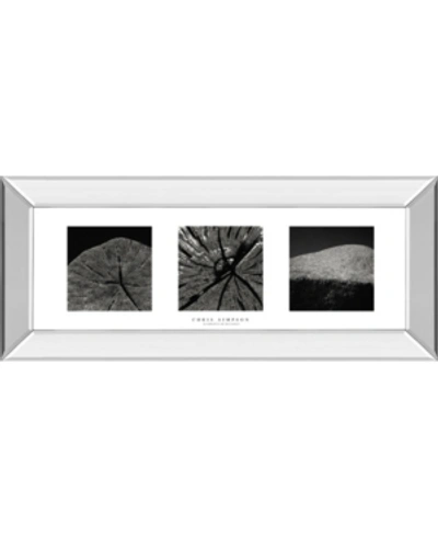 Classy Art Elements Of Nature 2 By Chris Simpson Mirror Framed Print Wall Art In Black