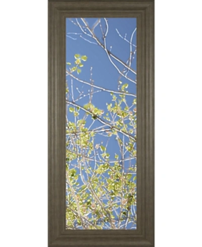 Classy Art Spring Poplars Iv By Sharon Chandler Framed Print Wall Art In Green