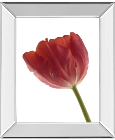 Classy Art Red Tulip By Art Photo Pro Mirror Framed Print Wall Art, 22" X 26"