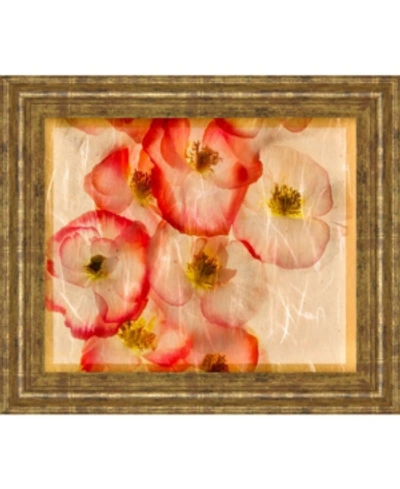 Classy Art Papaver Dreams Iii By Harold Davis Framed Print Wall Art, 22" X 26" In Red