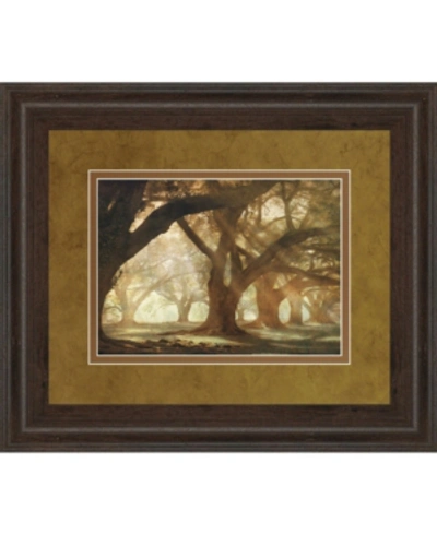 Classy Art Oak Alley Morning Light By William Guion Framed Print Wall Art, 34" X 40" In Brown
