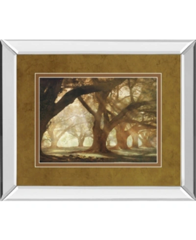 Classy Art Oak Alley Morning Light By William Guion Mirror Framed Print Wall Art, 34" X 40" In Brown