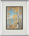 CLASSY ART HONEY BIRCH II BY JOHN MACNAB MIRROR FRAMED PRINT WALL ART, 34" X 40"