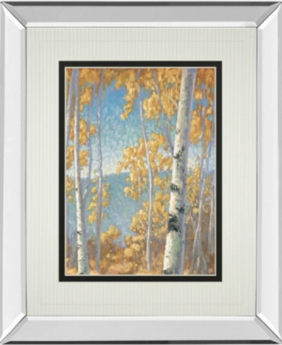 Classy Art Honey Birch Ii By John Macnab Mirror Framed Print Wall Art, 34" X 40" In Yellow