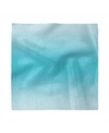 AMBESONNE OMBRE SET OF 4 NAPKINS, 18" X 18"