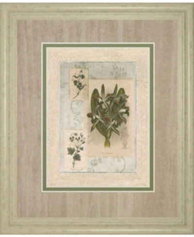Classy Art Histoire Du Orchid Vii By Carney Framed Print Wall Art, 34" X 40" In Green