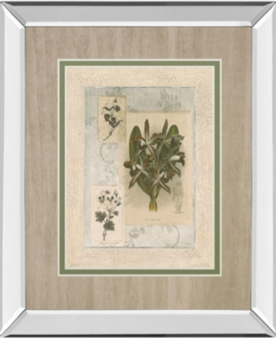 Classy Art Histoire Du Orchid Vii By Carney Mirror Framed Print Wall Art, 34" X 40" In Green