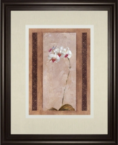 Classy Art Contemporary Orchid Ii By Carney Framed Print Wall Art, 34" X 40" In Pink