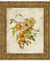 Classy Art Roses On Newsprint I By Lanie Loreth Framed Print Wall Art In Tan