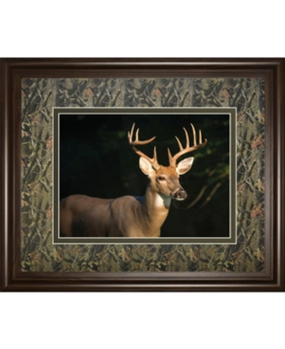 Classy Art White Tail Buck By Tony Campbell Double Matted Framed Print Wall Art In Black