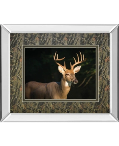 Classy Art White Tail Buck By Tony Campbell Double Matted Mirror Framed Print Wall Art In Black