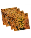 Ambesonne Fall Set Of 4 Napkins, 18" X 18" In Orange