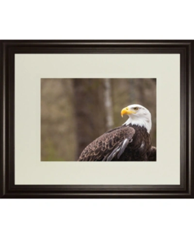 Classy Art Majestic Eagle By Gary Tog Double Matted Framed Print Wall Art In Brown