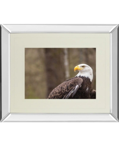 Classy Art Majestic Eagle By Gary Tog Double Matted Mirror Framed Wall Art In Red