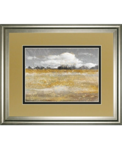Classy Art Meadow Shimmer Ii By Nan Framed Print Wall Art, 34" X 40" In Gold