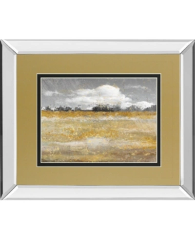 Classy Art Meadow Shimmer Ii By Nan Mirror Framed Print Wall Art, 34" X 40" In Gold