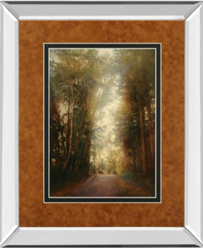Classy Art Road Of Mysteries Ii By Amy Melious Mirror Framed Print Wall Art, 34" X 40" In Green
