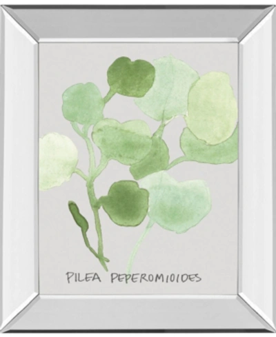 Classy Art Pilea Peperomioides By Katrien Soeffers Mirror Framed Print Wall Art, 22" X 26" In Green