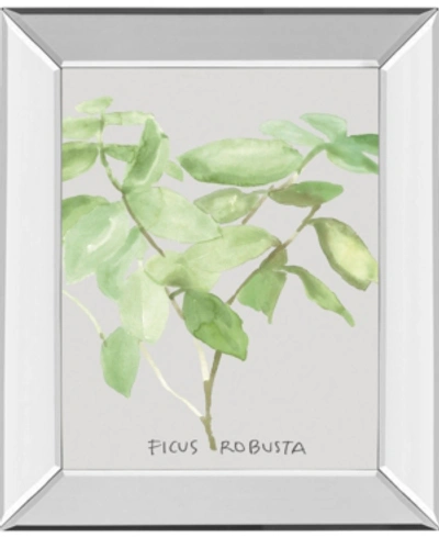 Classy Art Ficus Robusta By Katrien Soeffers Mirror Framed Print Wall Art, 22" X 26" In Green