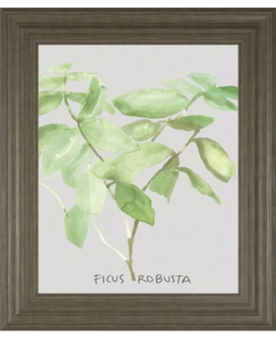 Classy Art Ficus Robusta By Katrien Soeffers Framed Print Wall Art, 22" X 26" In Green