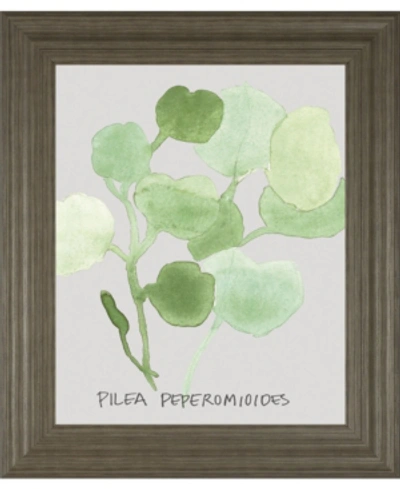 Classy Art Pilea Peperomioides By Katrien Soeffers Framed Print Wall Art, 22" X 26" In Green