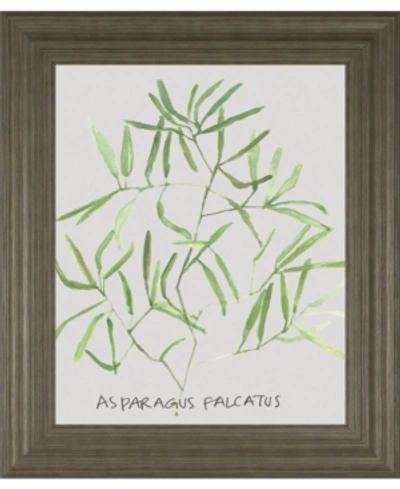 Classy Art Asparogus Falcatus By Katrien Soeffers Framed Print Wall Art, 22" X 26" In Green