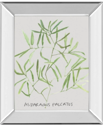 Classy Art Asparogus Falcatus By Katrien Soeffers Mirror Framed Print Wall Art, 22" X 26" In Green
