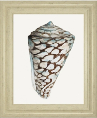 Classy Art Modern Shell With Teal Il By Patricia Pinto Framed Print Wall Art In White