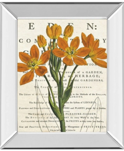 Classy Art Eurphoria Botany By Sue Schlabach Mirror Framed Print Wall Art, 22" X 26" In Orange