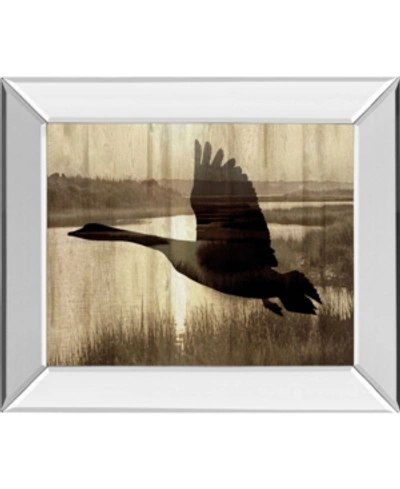 Classy Art Journey By Tania Bello Mirror Framed Goose Photo Print Wall Art In Black