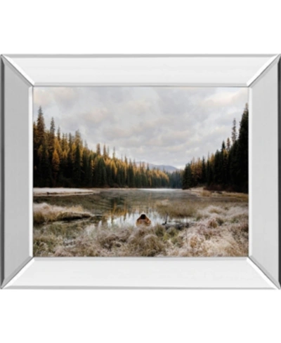 Classy Art Reflecting Nature By Andrew Geiger Mirror Framed Print Wall Art In Brown