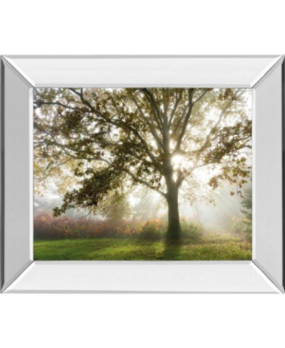 Classy Art Morning Calm By Lee Frost Mirror Framed Print Wall Art, 22" X 26" In Green
