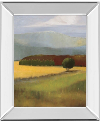 Classy Art Field Of Gold By Judith D'agostino Mirror Framed Print Wall Art, 22" X 26" In Green