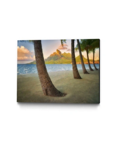 Giant Art 14" X 11" Palm Island Museum Mounted Canvas Print In Tan