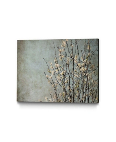 Giant Art 14" X 11" Tree I Museum Mounted Canvas Print In Gray