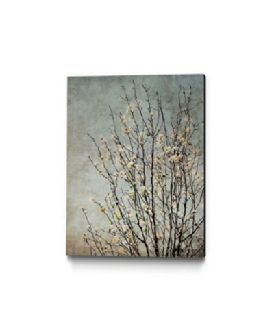 Giant Art 20" X 16" Tree Ii Museum Mounted Canvas Print In Gray