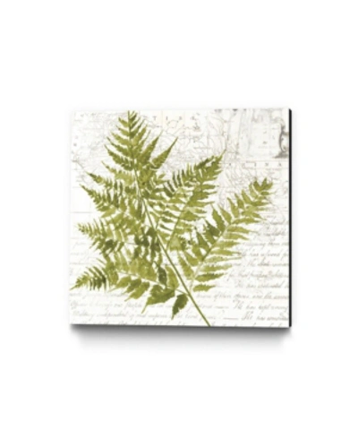 Giant Art 30" X 30" Fern I Museum Mounted Canvas Print In Green
