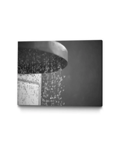 Giant Art 20" X 16" Spa Shower Ii Museum Mounted Canvas Print In Silver