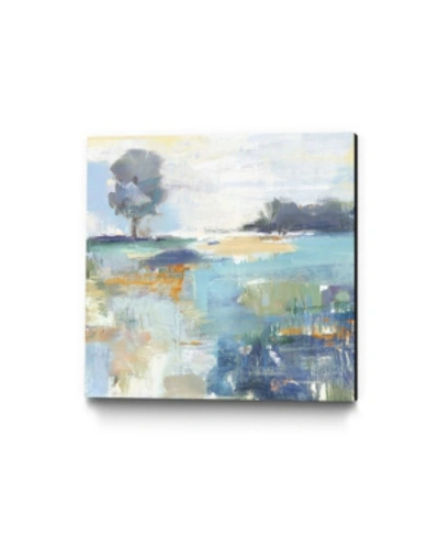 Giant Art 20" X 20" Rocky Fields Museum Mounted Canvas Print In Blue