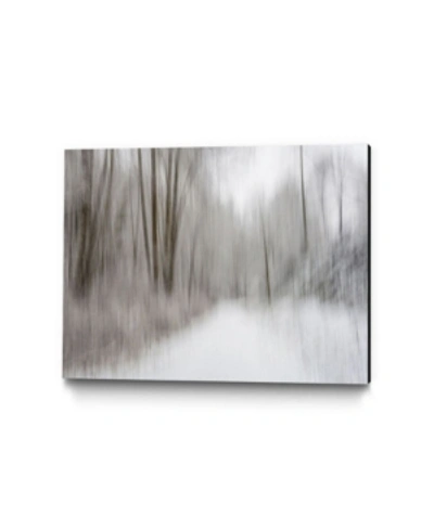 Giant Art 36" X 24" Foggy Lichen Ii Museum Mounted Canvas Print In Brown